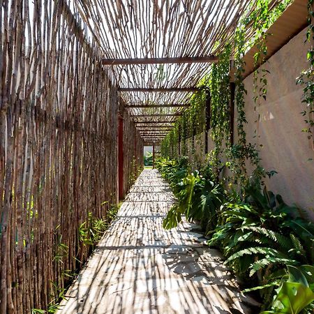 Natu Boutique Stays Sao Miguel dos Milagres Luaran gambar
